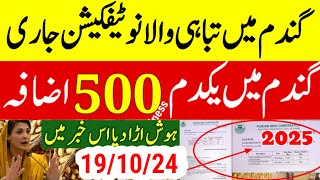 گندم مارکیٹ بڑا اعلان ہو گیا نوٹیفکیشن جاریWheat price in pakistan 2024Wheat support price 2024 [upl. by Hospers]