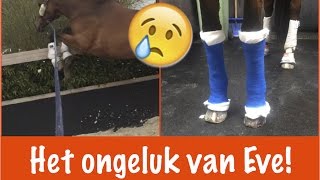 Het ongeluk van Eve  PaardenpraatTV [upl. by Erehpotsirhc323]