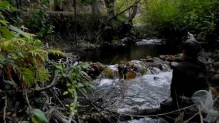 Tenkara Guides go urban fishing after work [upl. by Walke677]