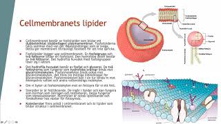 Cellmembranet i detalj  Biologi 2 100 p [upl. by Asiralc304]