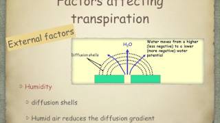 AS level G18 Transpiration Ms Cooper [upl. by Jimmy]