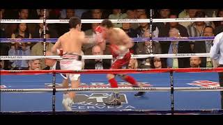 Nonito Donaire LEFT HOOK FROM HELL [upl. by Eustache]