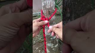 Incredible Loop Knot survivalknots knotskill knotting [upl. by Nelsen571]