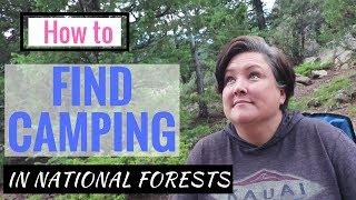 How to FIND FREE CAMPING in National Forests 7 TIPS The RULES amp MY LAST 3 SPOTS [upl. by Emmalynne620]