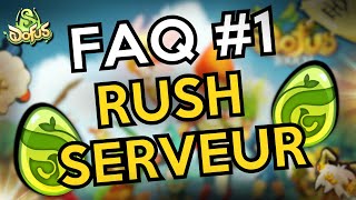 OPTIMISER SON RUSH SERVEUR DOFUS UNITY  FAQ DU LUNDI  1 [upl. by Yancy]