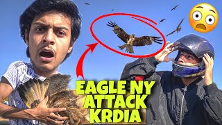 Ik Eagle Pakar Li 😯  Eagle attack  CRAZY GANG 🔥 [upl. by Raymond]