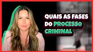 Quais as Fases do Processo Criminal [upl. by Anicnarf951]