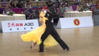 Yin  Liu CHN  2014 GS STD Wuhan R1 T  DanceSport Total [upl. by Suiravad]