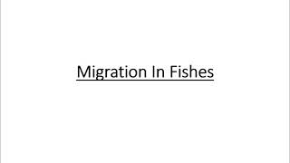 Migration in Fishes  Types of Migration  Significance of Migration  Bachelor degree zoology [upl. by Nosrej65]