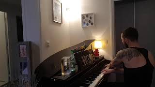 LOMEPAL trop beau extreme piano cover par laurent Callens [upl. by Ximenes310]