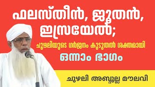 ചുഴലി അബ്ദുല്ല മൗലവി  chuzhali abdulla moulavi new speech [upl. by Hevak]