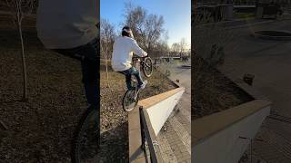 SHOCK KILL ME mtblife streettrials canyon trialninja велосипед [upl. by Gretal361]