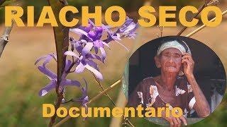 RIACHO SECO  Documentário completo [upl. by Jerrilyn341]