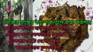 নিজের গাছের কচু শাক তুলে ইলিশ মাছের মাথা দিয়ে রান্না করলাম।।Kochu Shak Recipe [upl. by Doyle521]