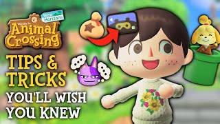 Tips amp Tricks I WISH I Knew Sooner in Animal Crossing New Horizons [upl. by Niamert]