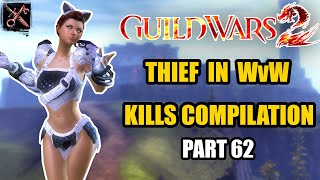 Thief killsescapes compilation WvW  zergs and roaming  GW2  No music  No 62 [upl. by Kceb]