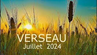 VERSEAU JUILLET 2024 〰️Votre Lecture Tarots [upl. by Valenza953]