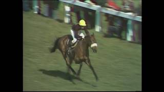 1977 Grand National  Red Rums third victory [upl. by Livvie]