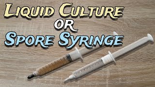 Liquid Culture Vs Spore Syringe  What is the Difference Which one for Growing Mushrooms [upl. by Anyalram441]