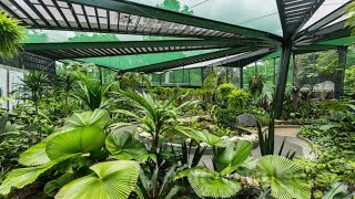 Fifteen Tropical Botanical Gardens Around Australia [upl. by Mayer]