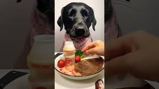 dog mukbang eatingshow eatingsounds labrador [upl. by Ddene]