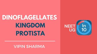 Dinoflagellates  Kingdom Protista  NEET Biology  NEET UG in 10 [upl. by Ettesoj]