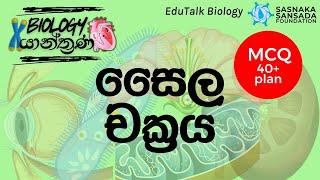 සෛල චක්‍රය  Cell cycle  EduTalk Biology [upl. by Neetsyrk]