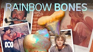 Opalised fossils hide in private collections These palaeontologists rescue them 🦴🌈  ABC Australia [upl. by Kearney]