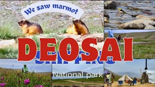 Deosai National Park Travel Vlog Pakistan [upl. by Patrice]