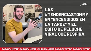 Las TendenciasTommy en “Encendidos en la tarde” y el osito de peluche viral que respira [upl. by Baumbaugh]