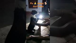 Yuhi nahi tujhpe dil ye Fida hai Cute breeds 🐶viralvideo cutedog adoptdontshop pls🙏 support🐕🙏 [upl. by Dibrin895]