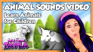 Animal Sounds Video  Learn Animals for Children on Tea Time with Tayla [upl. by Seira]