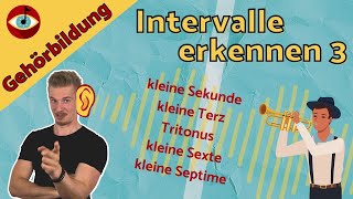 GEHÖRBILDUNG  INTERVALLE 3 Kleine Intervalle und der Tritonus [upl. by Wise]