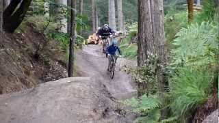 Swinley Forest Bike Tracks  July 2012 [upl. by Dranreb920]