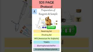 What is SDS PAGE shorts [upl. by Ahsinyd]