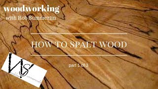 woodworking  77 how to spalt wood 2 part 1 of 3 [upl. by Mirabella]