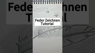 Feder zeichnen Tutorial  Einfache Schritt für Schritt Anleitung zum zeichnen zeichnenlernen [upl. by Ellehcirt]