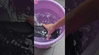 💧 JBL Waterproof Test  Deep Water Check 🌊 IPX7 Ratingjblbasstest jblspeaker [upl. by Wurtz]