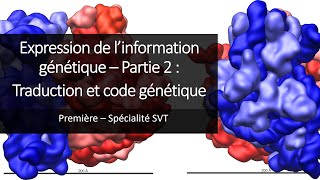 Résumé naaadi expression de l’information génétique  Transcription et Traduction  Mutation [upl. by Kornher]