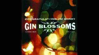 Gin Blossoms  Competition Smile [upl. by Isac554]