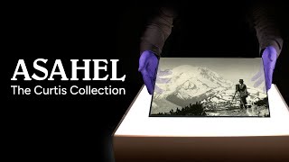 Asahel The Curtis Collection [upl. by Chirlin]