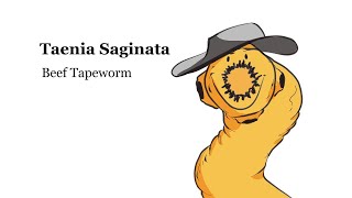 Para GIT  Taenia saginata  Beef tape worm [upl. by Trevorr833]