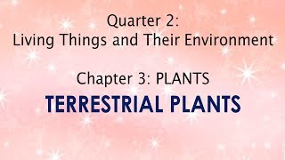 Science IV Q2 Lesson 27A TERRESTRIAL PLANTS [upl. by Avner]