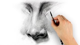 How to Draw a Nose  Step by Step [upl. by Notreve]