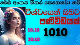 අංක 1010 නිතර ඔබට පෙනෙනවා නම් විශ්වයෙන් ඔබට සුභ පණිවිඩයක්Angel number 1010 sinhalalawofattraction🪽 [upl. by Haerdna]