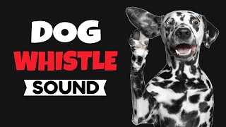 Dog whistle sound  Ultrasonic High Pitch [upl. by Jolee]