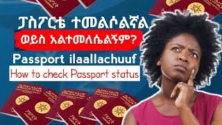 የፓስፖርት status ለማየት  How to Check passport status Online  simple guide Passport in Dubai [upl. by Seve]