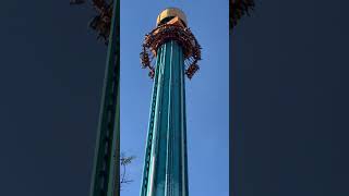 Falcons Fury OffRide POV Busch Gardens 158 [upl. by Llenhoj590]