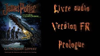 Livre audio vivant 🎧James Potter 1 FR 🎧 Prologue [upl. by Wylie404]