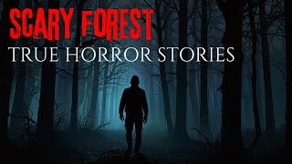 3 Disturbing True Forest Horror Stories [upl. by Ibbie625]